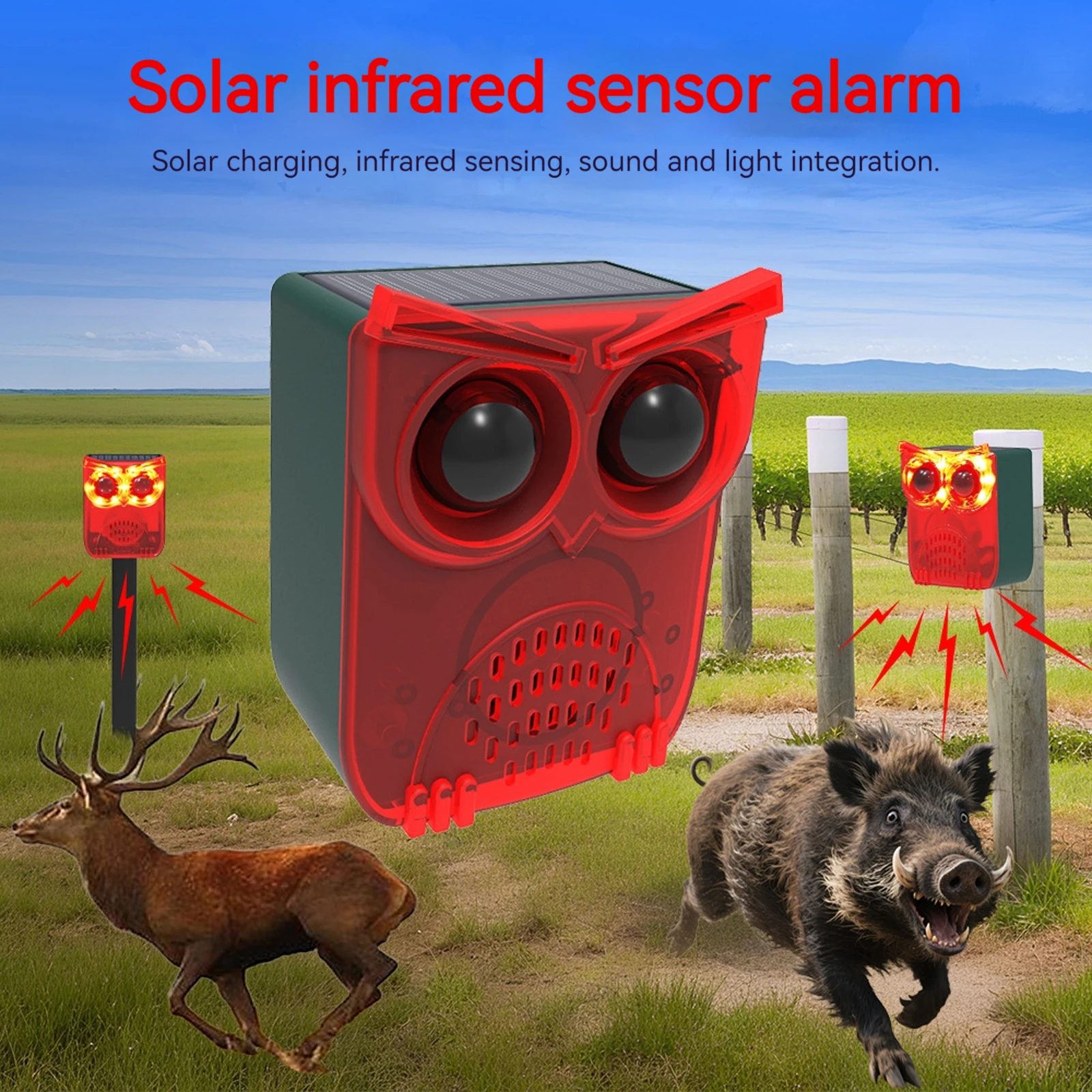 เครื่องไล่สัตว์กลางแจ้งแบบกันน - Pet Immune Pir Sensor บทวิจารณ์และราคา