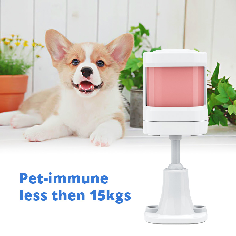 P20 Anti-สัตว์เลี้ยง PIR Motio - Pet Immune Pir Sensor บทวิจารณ์และราคา