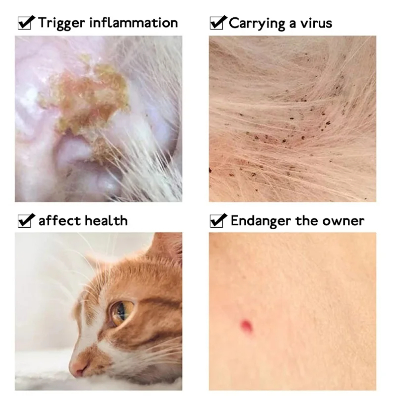 Anti หมัด Tick COLLAR สําหรับแ - Pet Immune Pir Sensor บทวิจารณ์และราคา