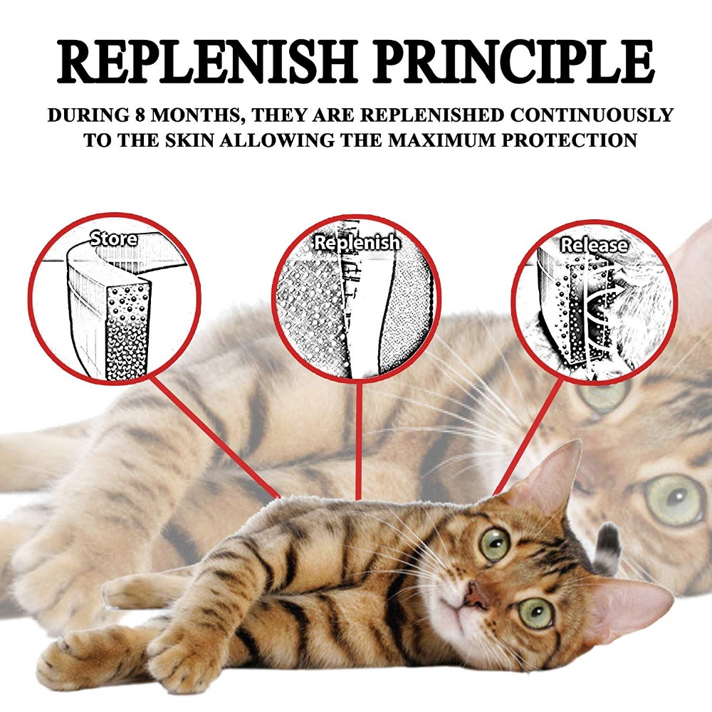 ปลอกคอกันยุงกันน้ำ ป้องกันแมลง - Pet Immune Pir Sensor บทวิจารณ์และราคา