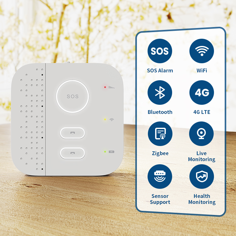 ระบบตรวจสอบความปลอดภัยภายในบ้า - Home Security For Seniors บทวิจารณ์และราคา