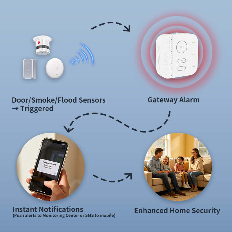 เกตเวย์ฮับระบบรักษาความปลอดภัย - Home Security For Seniors บทวิจารณ์และราคา